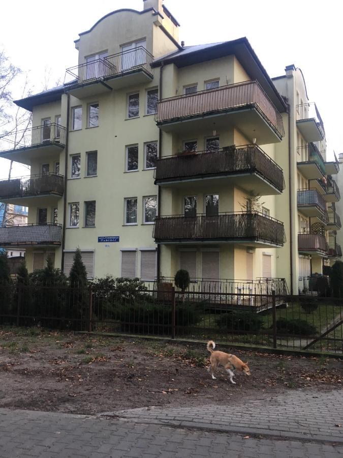 Apartament Nadmorski Sen ミエンジズドロイェ エクステリア 写真